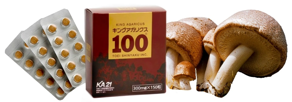 King Agaricus 100® 1.5mg x 30 sachets King Agaricus 100® 1.5mg x 30 sachets